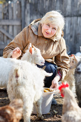 happy woman is feeding little goats and chickens o