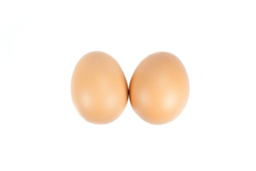 eggs on white background