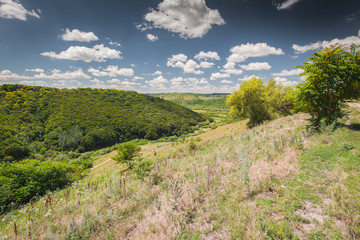 Obraz premium Carpathian Ukraine