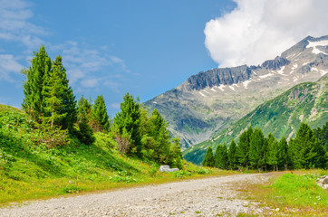 Fototapeta premium Alpine landscape, green slopes and high mountain peaks, Austria,