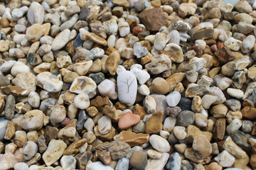 sea stones at the shore