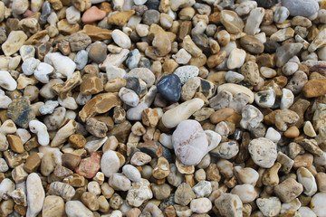 sea stones at the shore