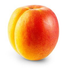 Apricot