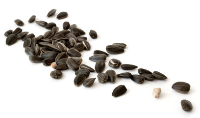 Sunflower seeds isolated on white background