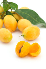 Marian plum slice isolated in white background
