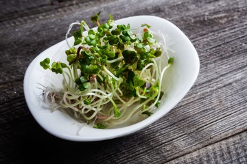 Radish sprouts