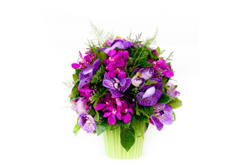 beautiful bouquet of bright orchids in pot isolated on white bac