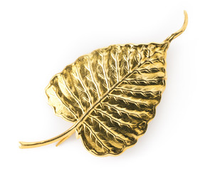 Golden Bodhi Leaf in White background