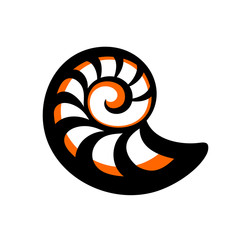 Simple orange black sea shell - 79901471