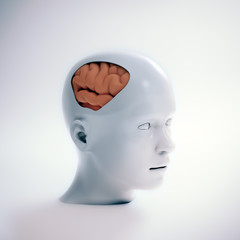 Human intelligence and psychological development