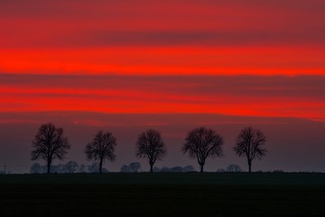 Fototapeta na wymiar Beautiful sky after sunset