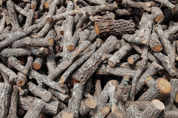 wood logs