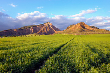 Pico del &Aacute;guila