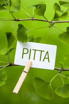 Pitta