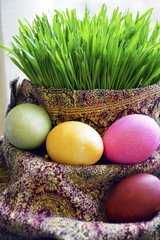 Colored eggs and wheat springs on Nowruz holiday