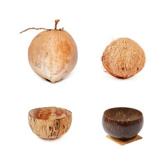 Coconut and products of coconut