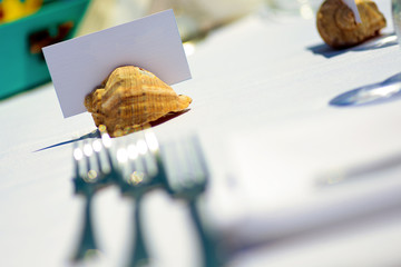 White cardboard stuck in a sea shell placed on the table