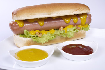 Hot dog with ketchup and mustard