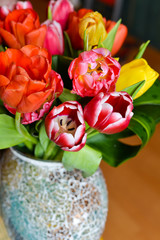 Colorful tulips in vase