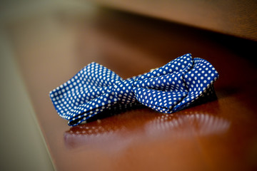 Blue bow tie with polka dots