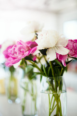 Wedding pink ranunculus flowers