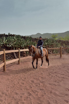 cavali&egrave;re