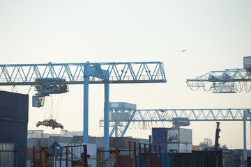 Commercial harbor with large industrial cranes