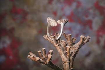 Close up of silver ring