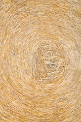 Straw bale background