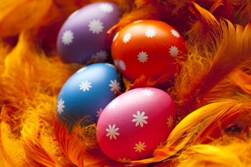 Fototapeta na wymiar Colored Easter eggs in the nest