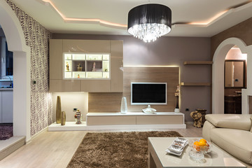 contemporary living room interior