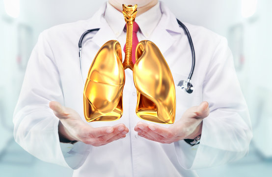 Doctor With Stethoscope And Golden Lungs On The  Hands