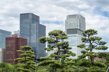 Gratte-ciel et jardin japonais à Tokyo Japon