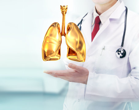 Doctor With Stethoscope And Golden Lungs On The Hands