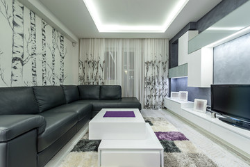Modern living room interior