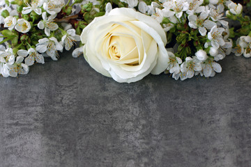 Rose mit Kirschblüten