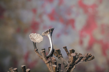 Close up of silver ring