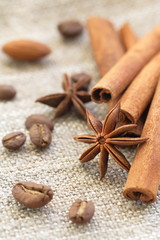 Obraz na płótnie Canvas Cinnamon, anise and nuts