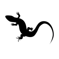 Beautiful  monochrome lizard, lizard silhouette. Vector illustra