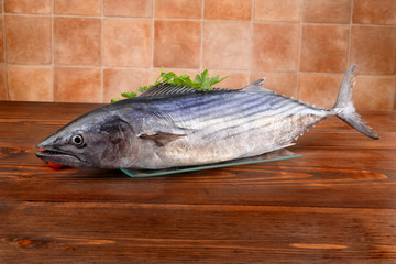 tonno palamita - bonito tuna