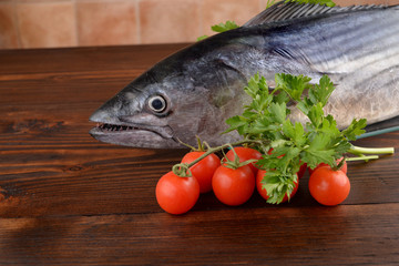 tonno palamita - bonito tuna