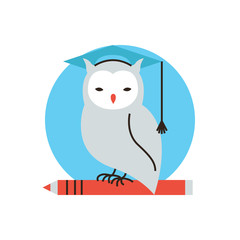 Wisdom owl flat line icon concept