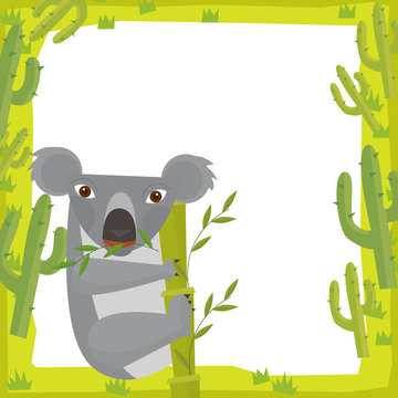 Cartoon Frame - Koala Bear - Illustration