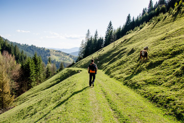 Fototapeta na wymiar Spring landscape of the Carpathians