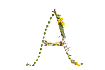Letter A - flower alphabet isolated