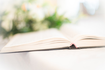 bibbia