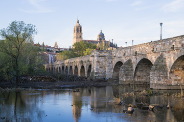 Fototapeta premium bridge leading to the Cathedral in Salamanca