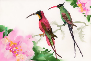 Fototapety  Rysunek pięknych jasnych ptaków i kwiatów
