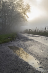 Obraz na płótnie Canvas fog with reflection in puddle