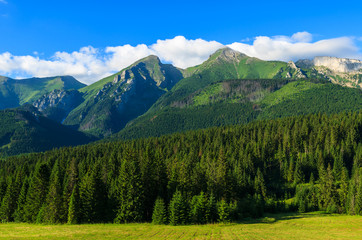 Green summer landscape of Tatra Mountains in Zdiar, Slovakia